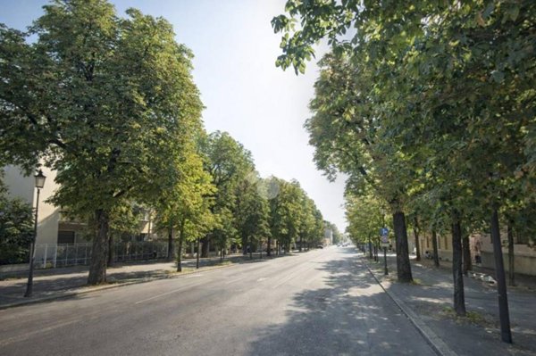 appartamento in vendita a Parma in zona Cittadella