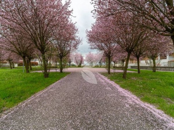 appartamento in vendita a Parma in zona Baganzola