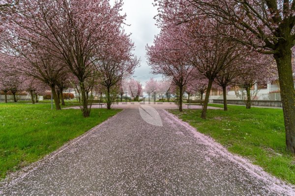 appartamento in vendita a Parma in zona Roncopascolo