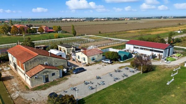 terreno agricolo in vendita a Parma in zona San Martino / Paradigna