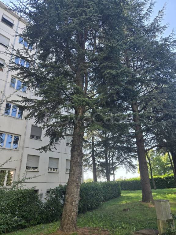 appartamento in vendita a Parma in zona Montanara