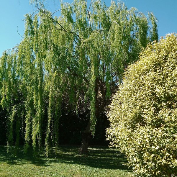 casa indipendente in vendita a Parma