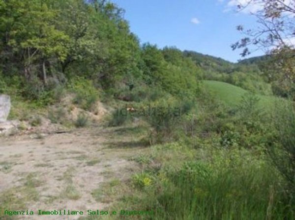 casale in vendita a Pellegrino Parmense