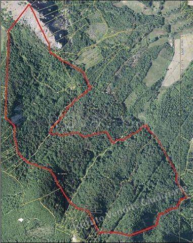 terreno edificabile in vendita a Pellegrino Parmense in zona Grotta