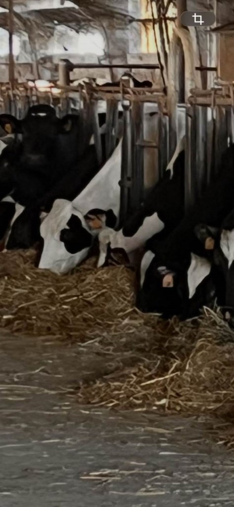 ufficio in vendita a Pellegrino Parmense