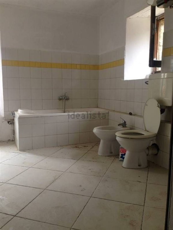 pentavano in vendita a Pellegrino Parmense