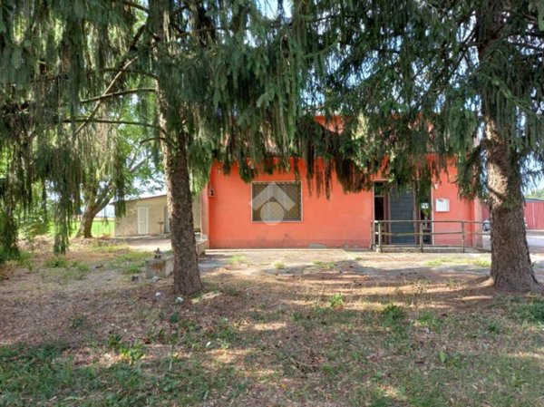 negozio in vendita a Roccabianca in zona Stagno