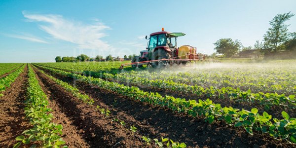 terreno agricolo in vendita a Sala Baganza