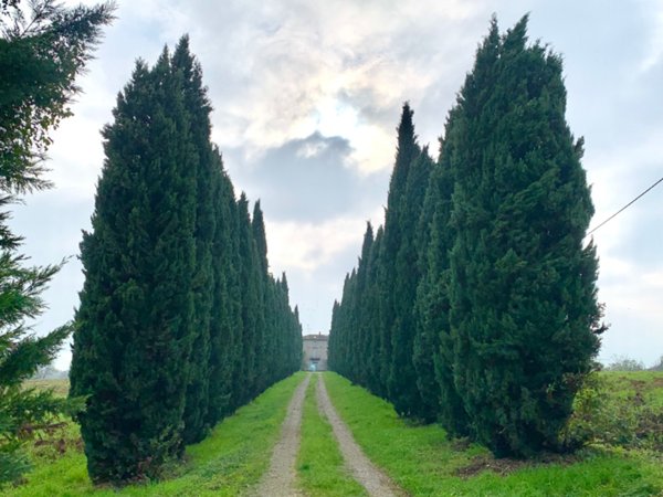 casa indipendente in vendita a Sala Baganza in zona Maiatico