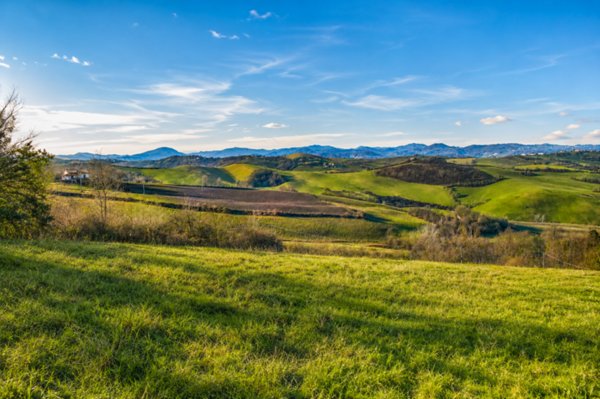 immagine annuncio 0 di 10