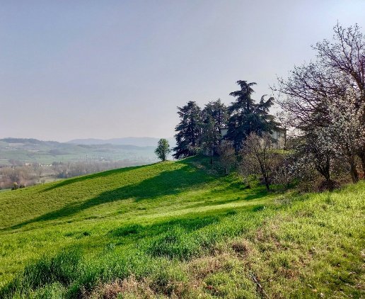 villa in vendita a Sala Baganza