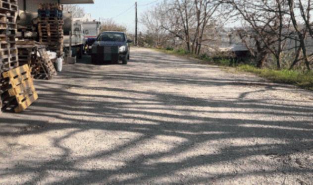 pentavano in vendita a Sala Baganza