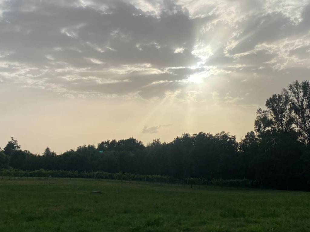 terreno agricolo in vendita a Sala Baganza in zona Maiatico