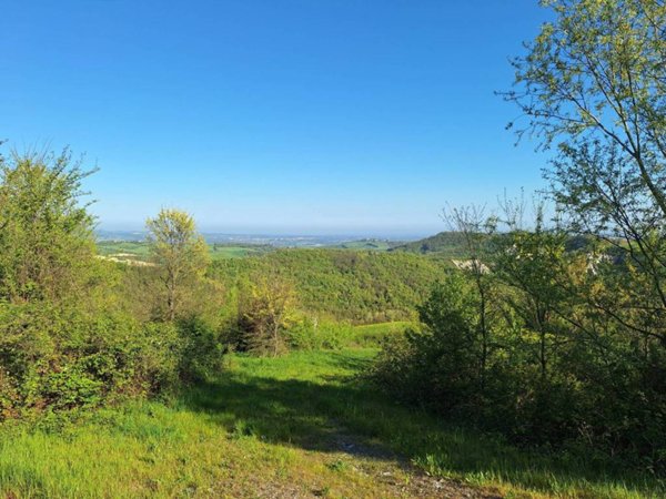 casa indipendente in vendita a Sala Baganza