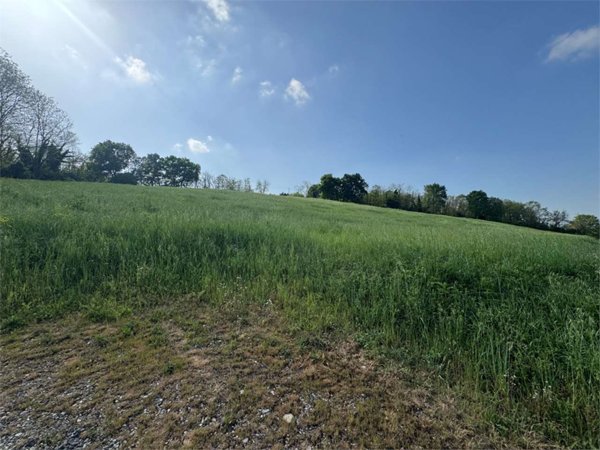 terreno agricolo in vendita a Sala Baganza in zona Talignano