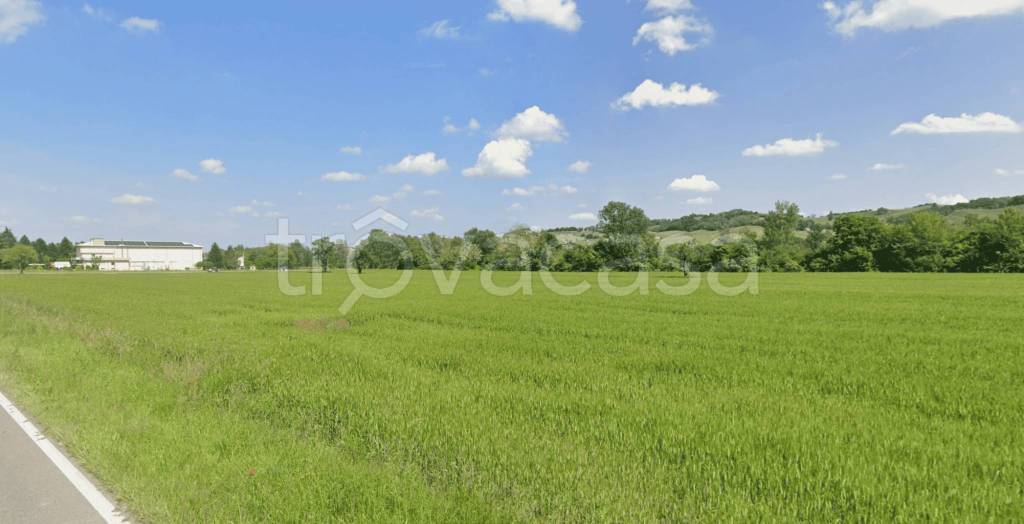 terreno agricolo in vendita a Sala Baganza in zona San Vitale di Baganza