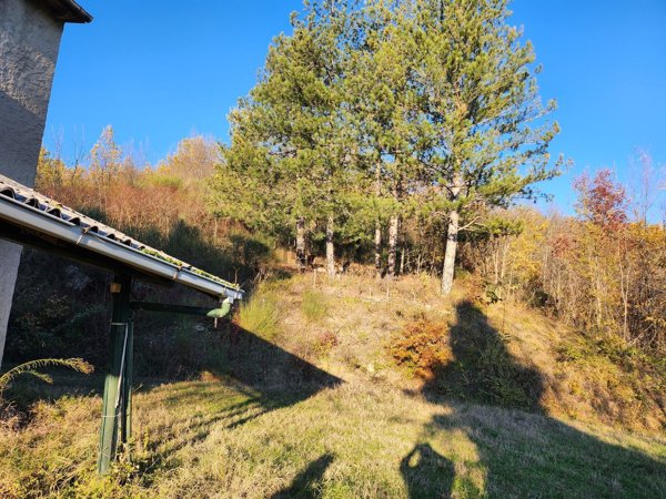 pentavano in vendita a Salsomaggiore Terme