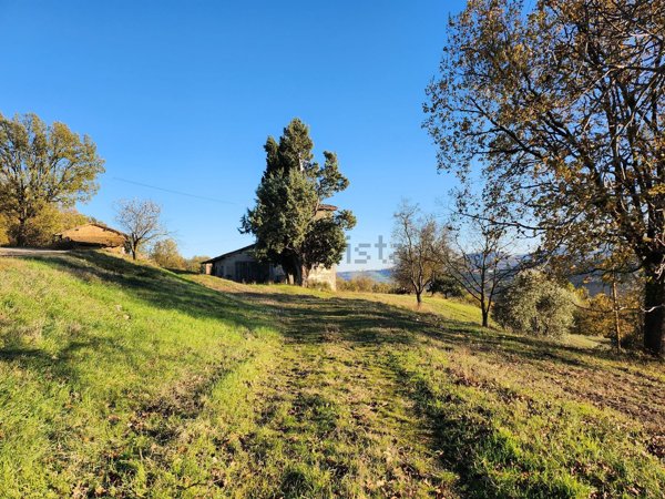 esavano in vendita a Salsomaggiore Terme