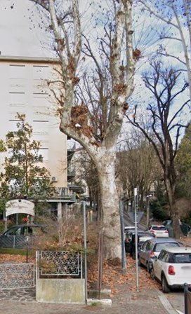 negozio in vendita a Salsomaggiore Terme