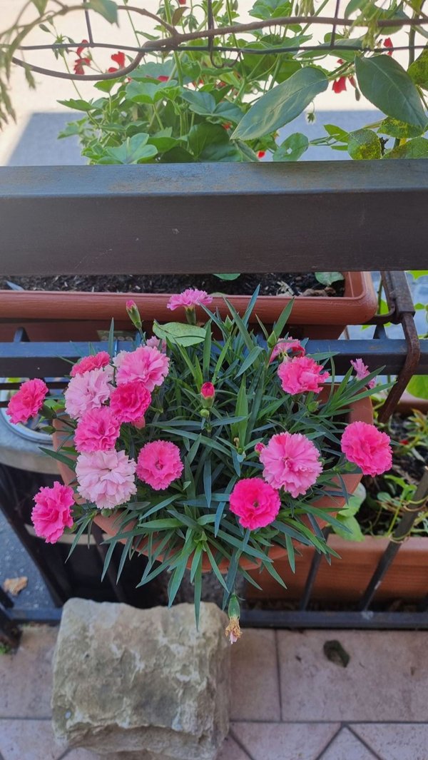 appartamento in vendita a Salsomaggiore Terme