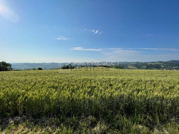esavano in vendita a Salsomaggiore Terme in zona Costa