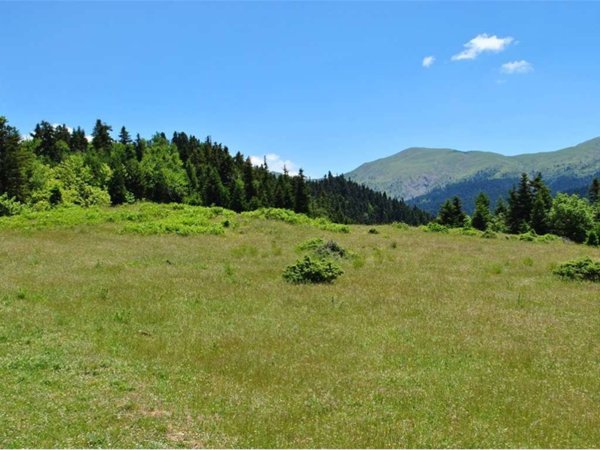 terreno agricolo in vendita a Salsomaggiore Terme