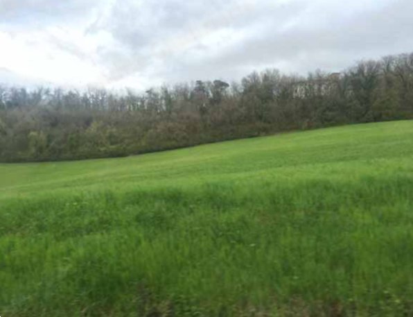 terreno agricolo in vendita a Salsomaggiore Terme in zona Scipione Ponte