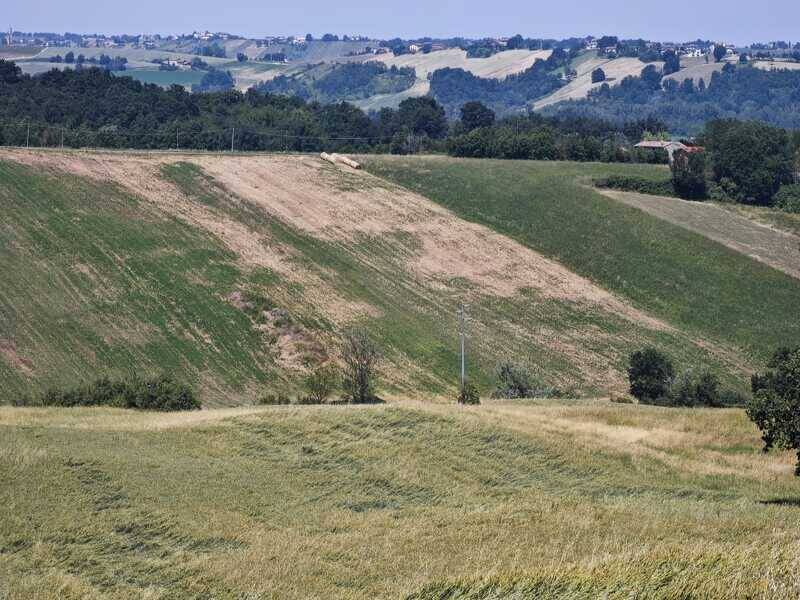 azienda agricola in vendita a Salsomaggiore Terme