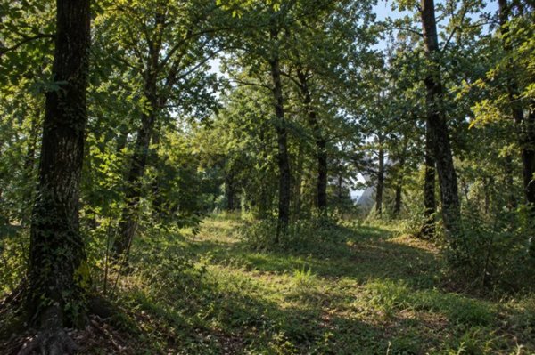 terreno agricolo in vendita a Salsomaggiore Terme in zona Campore