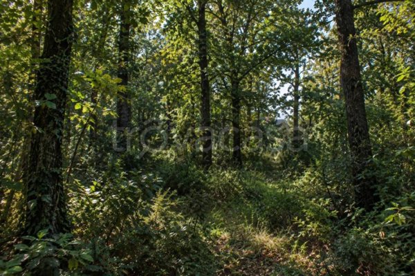terreno agricolo in vendita a Salsomaggiore Terme in zona Campore