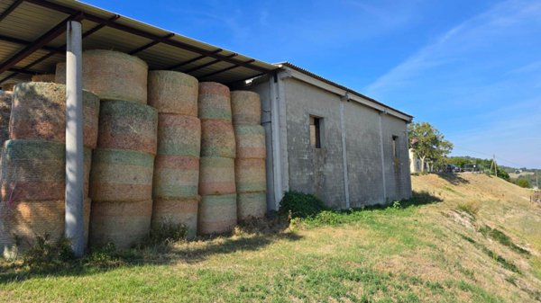 azienda agricola in vendita a Salsomaggiore Terme in zona San Vittore