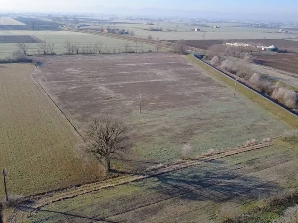 terreno agricolo in vendita a San Secondo Parmense