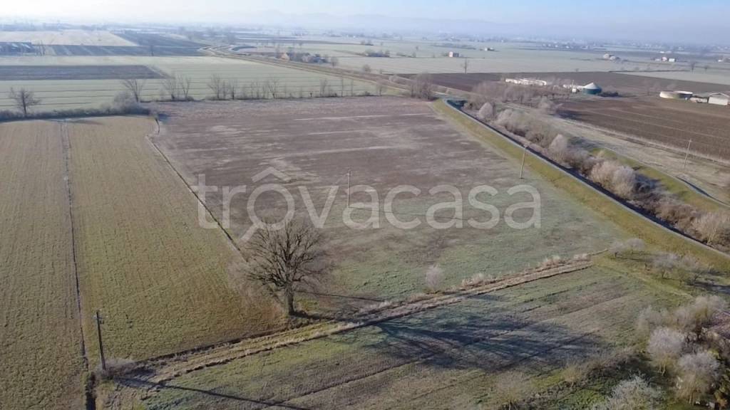 terreno agricolo in vendita a San Secondo Parmense