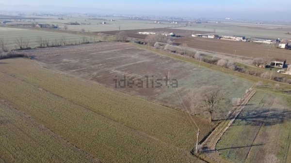 terreno agricolo in vendita a San Secondo Parmense