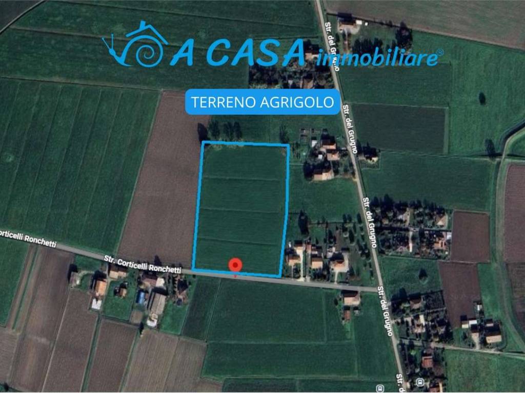 terreno agricolo in vendita a San Secondo Parmense