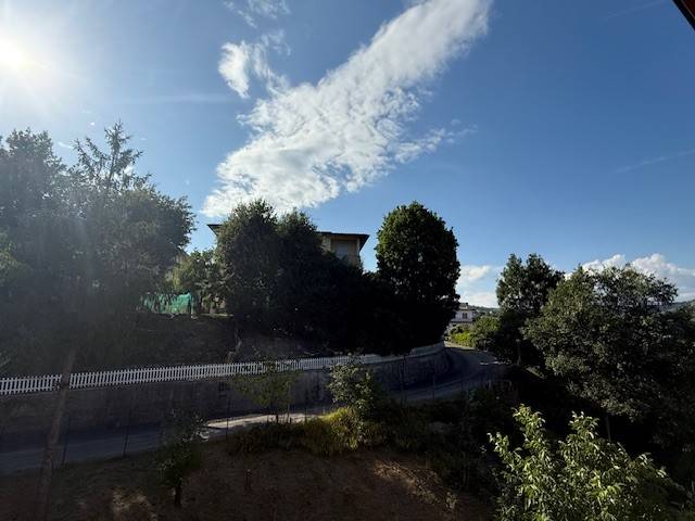 appartamento in vendita a Solignano