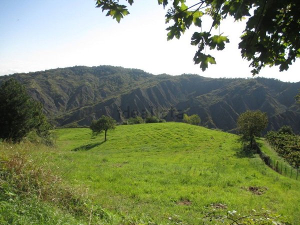 appartamento in vendita a Solignano