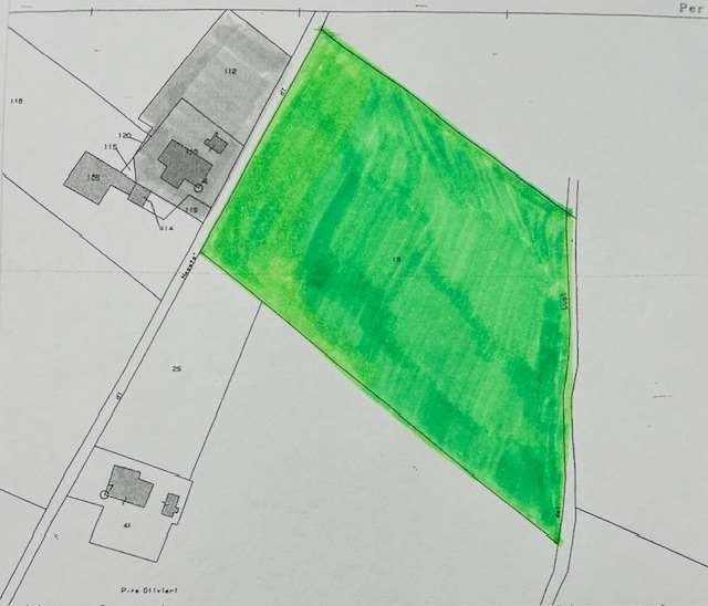 terreno agricolo in vendita a Soragna