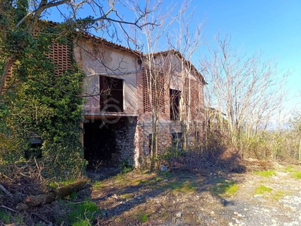 terreno agricolo in vendita a Terenzo