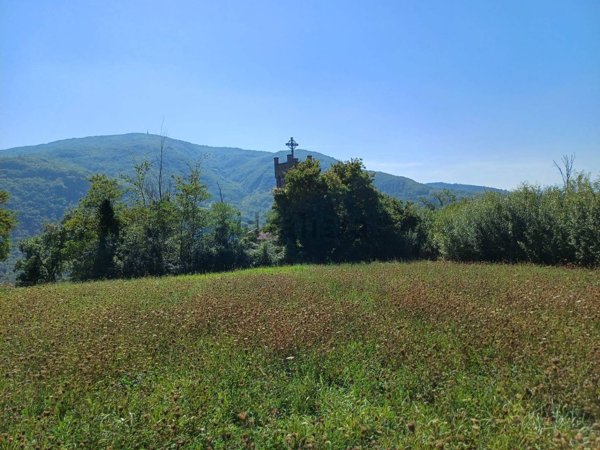 terreno edificabile in vendita a Terenzo in zona Corniana