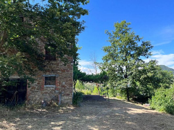 casa indipendente in vendita a Terenzo