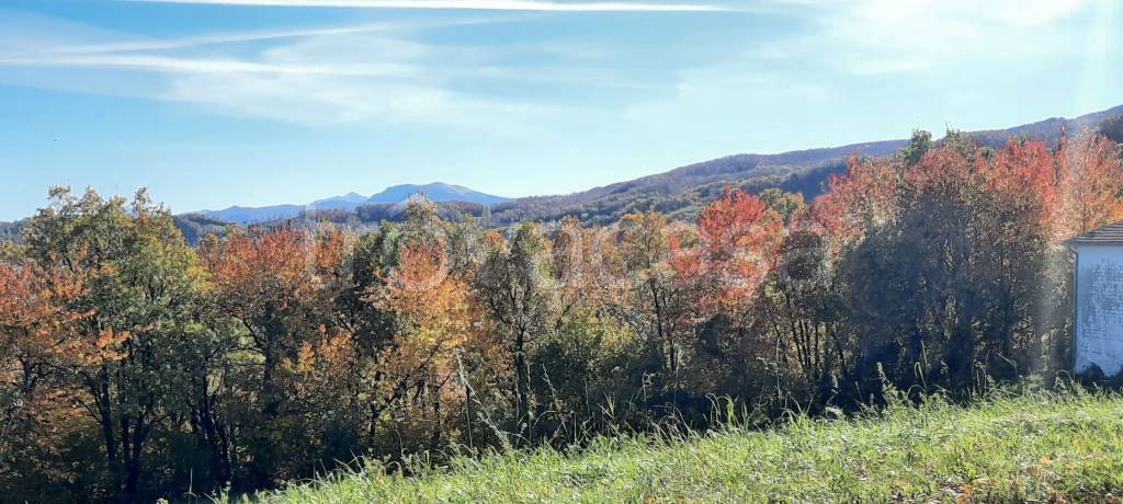 appartamento in vendita a Tizzano Val Parma in zona Schia