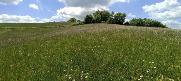 terreno in vendita a Tizzano Val Parma in zona Lagrimone