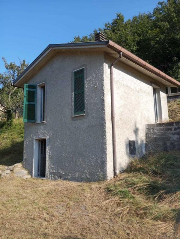 immagine annuncio 0 di 5