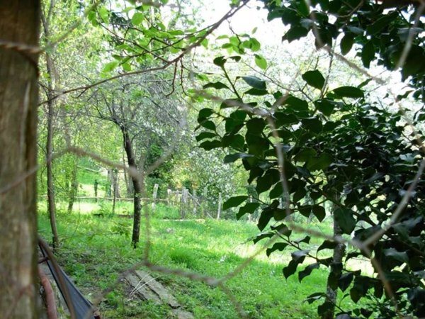 casa indipendente in vendita a Tornolo in zona Tarsogno