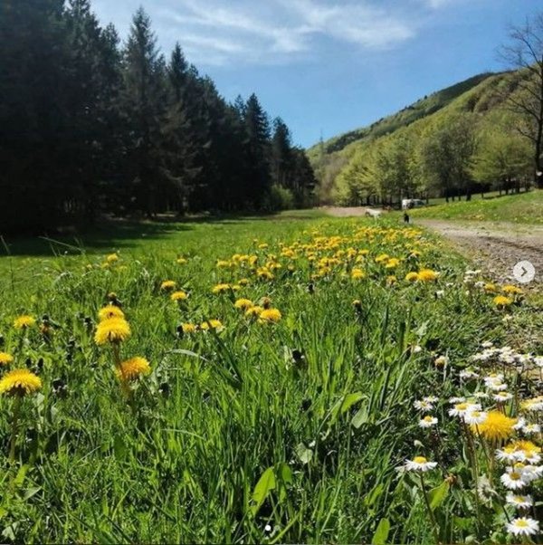 casa indipendente in vendita a Tornolo in zona Tarsogno