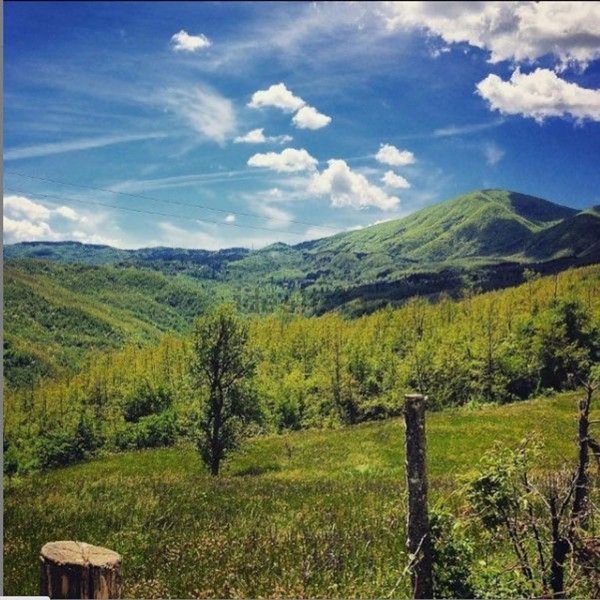 appartamento in vendita a Tornolo in zona Tarsogno