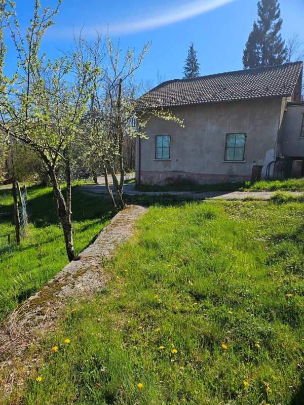 esavano in vendita a Tornolo in zona Tarsogno