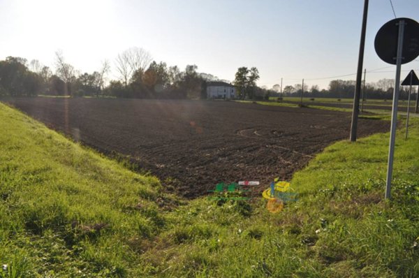 terreno agricolo in vendita a Torrile