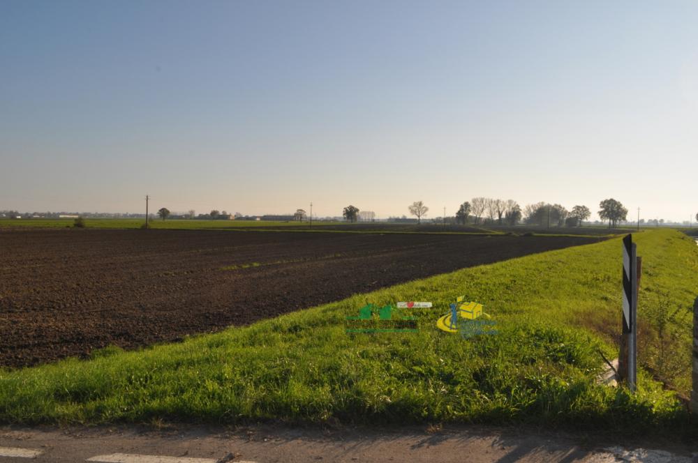 terreno agricolo in vendita a Torrile